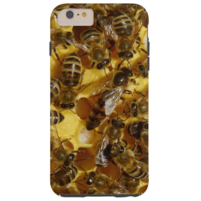 Honey Bees in Hive with Queen in Middle Case-Mate iPhone Case (Back)