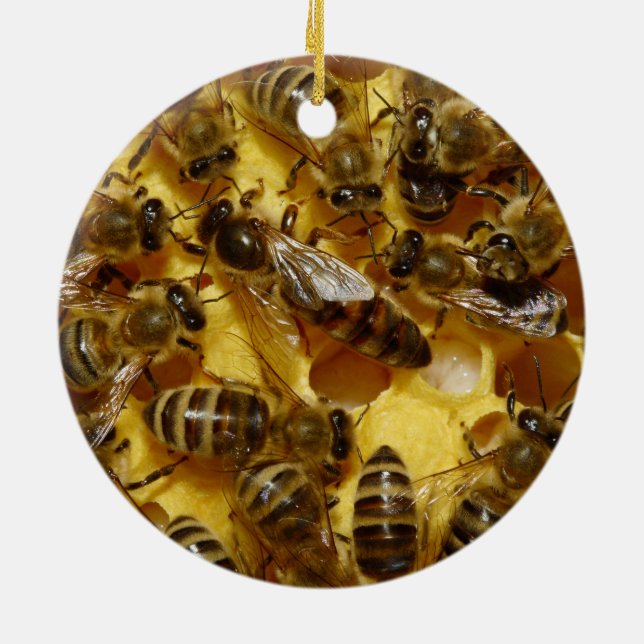 Honey Bees in Hive with Queen in Middle Ceramic Ornament (Back)