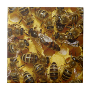 Honey Bees in Hive with Queen in Middle Ceramic Tile