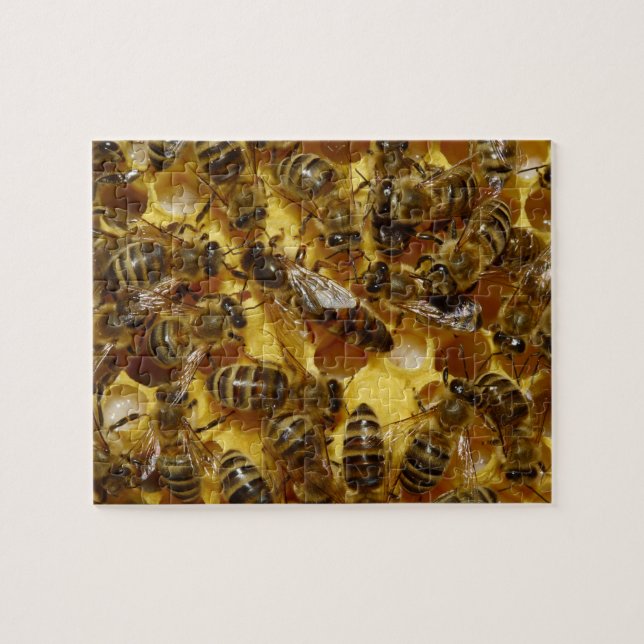 Honey Bees in Hive with Queen in Middle Jigsaw Puzzle (Horizontal)