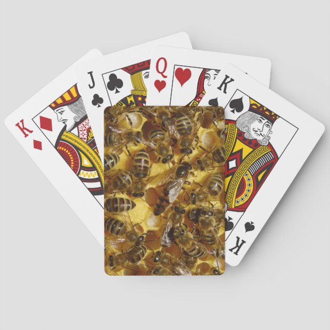 Honey Bees in Hive with Queen in Middle Poker Cards (Back)