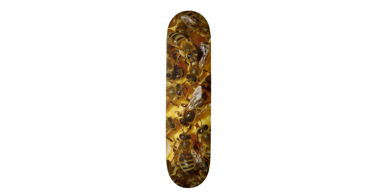Honey Bees in Hive with Queen in Middle Skateboard | Zazzle.com