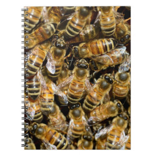 Honey Bees Intense Swarm Closeup Notebook