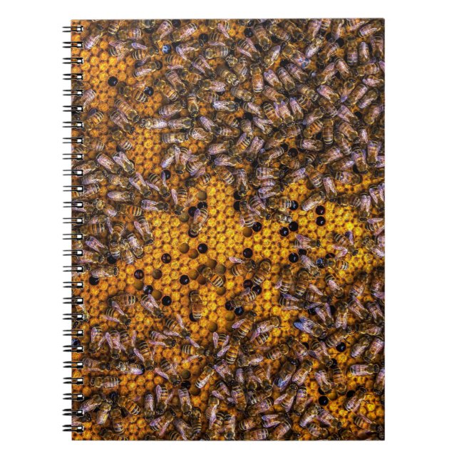 HONEY BEES   NOTEBOOK (Front)