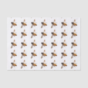 Honey Bee's Tissue Paper