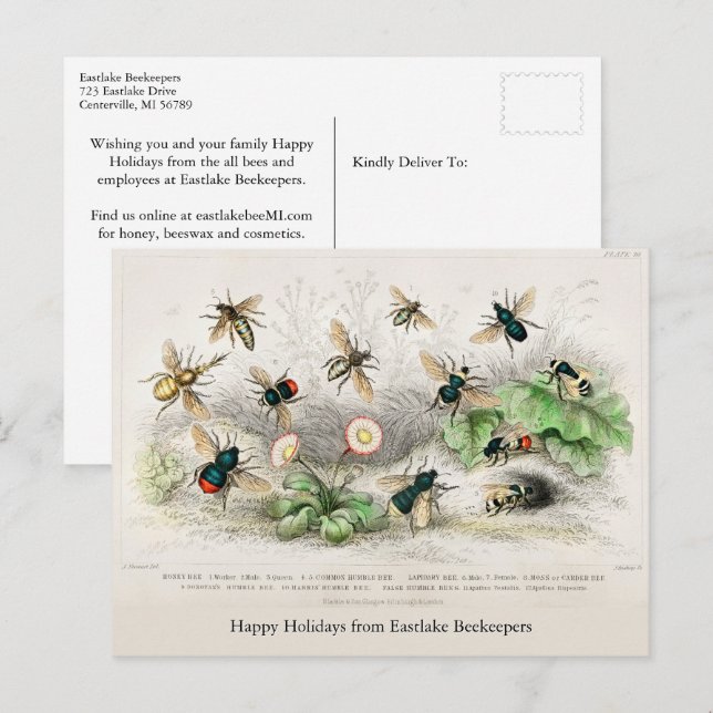 Honey Bees Vintage Holiday Postcard (Front/Back)
