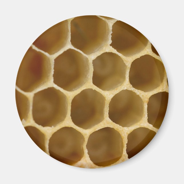Honey Comb Magnet (Front)