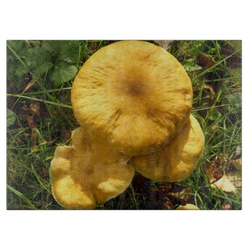 Honey Fungus Mushroom Glass Chopping Board