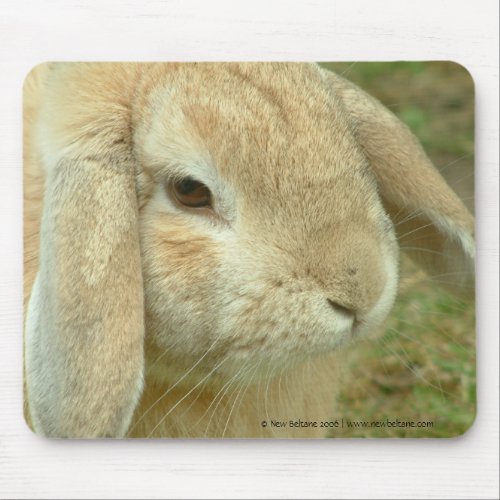 Honey  Lop_eared Rabbit Mouse Pad
