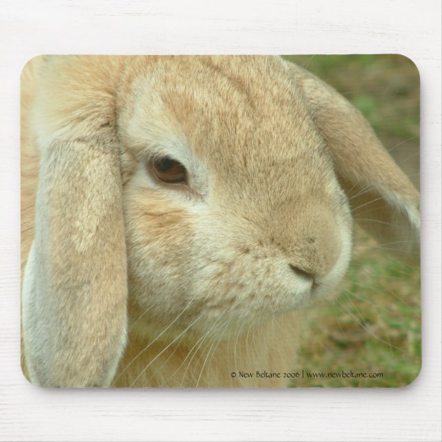 Honey,  Lop-eared Rabbit Mouse Pad (Front)