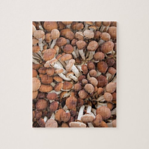 honey mushrooms jigsaw puzzle