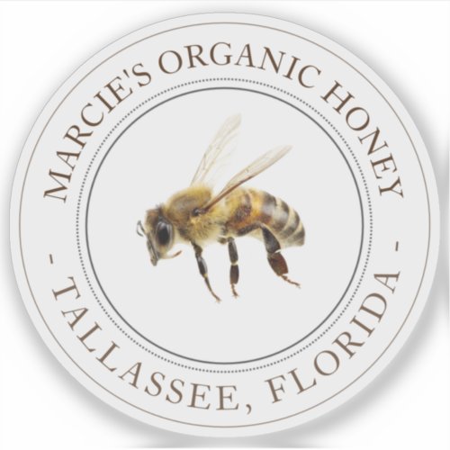 Honey Realistic Bee Transparent Car Window sticker