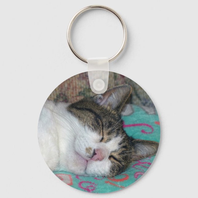 Honey Sleeping Keychain (Front)