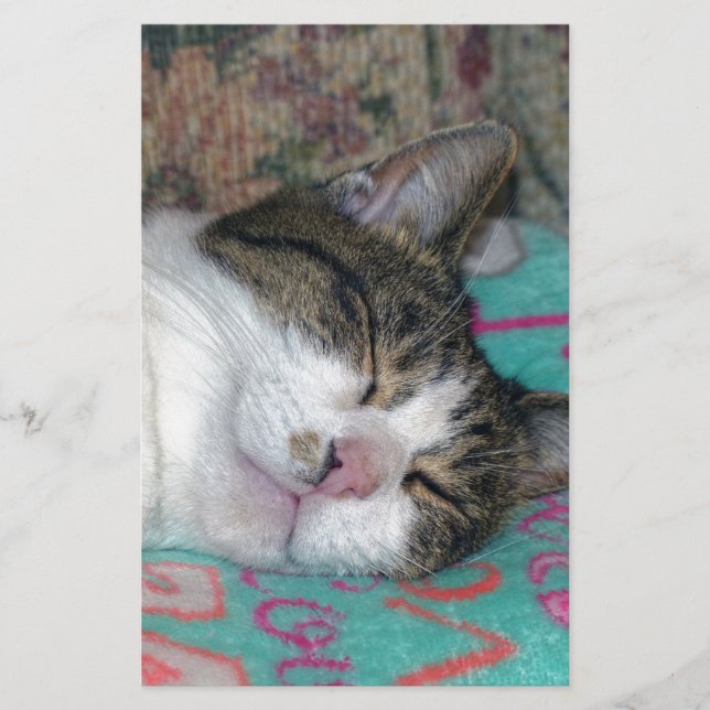 Honey Sleeping Stationery (Front)