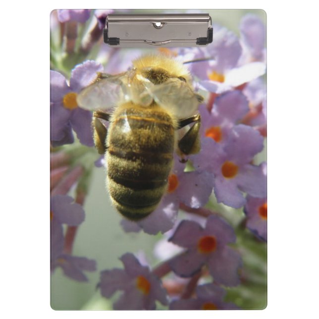Honeybee and Buddleia Flowers Clipboard (Front)