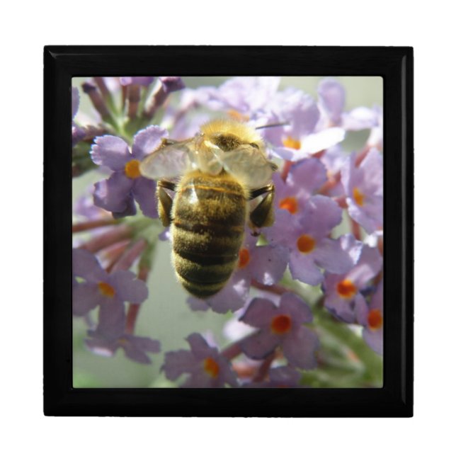 Honeybee and Buddleia Flowers Gift Box (Front)