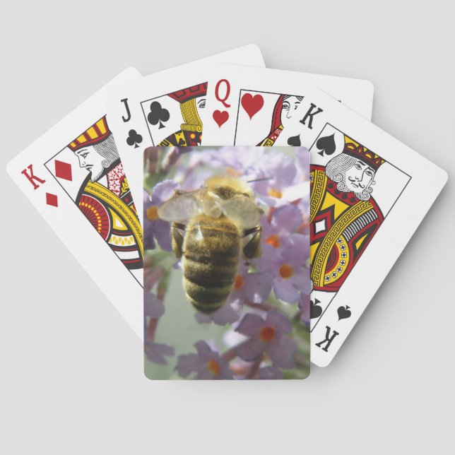 Honeybee and Buddleia Flowers Playing cards (Back)