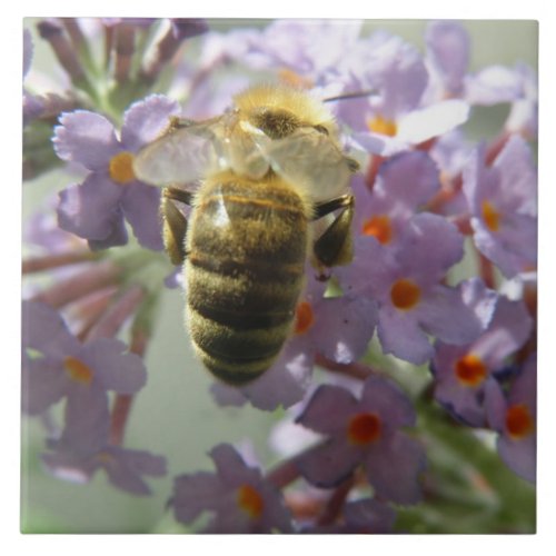 Honeybee and Buddleia Flowers Tile
