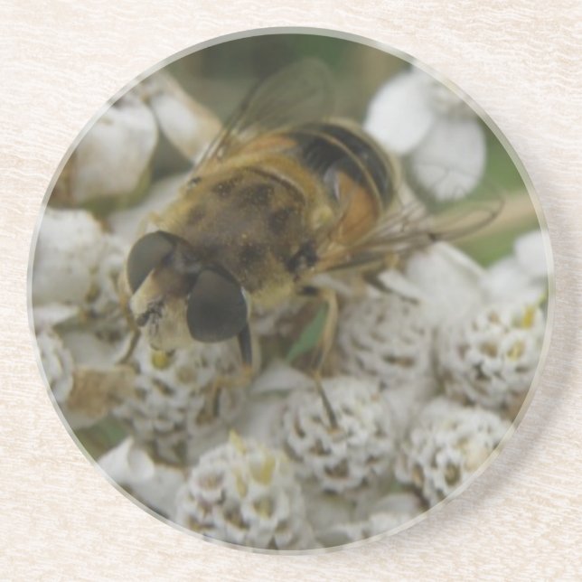 Honeybee and Flowers Coasters (Front)