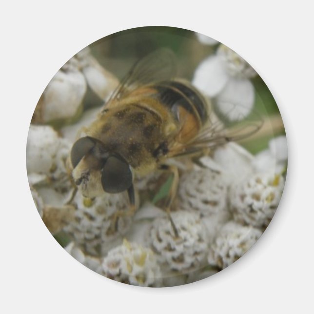 Honeybee and Flowers Magnet (Front)
