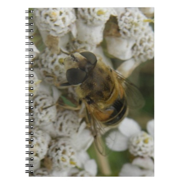 Honeybee and Flowers Notebook (Front)