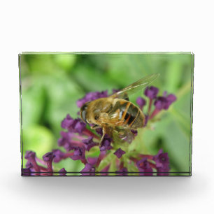 Honeybee and Purple Flowers Decorative Award