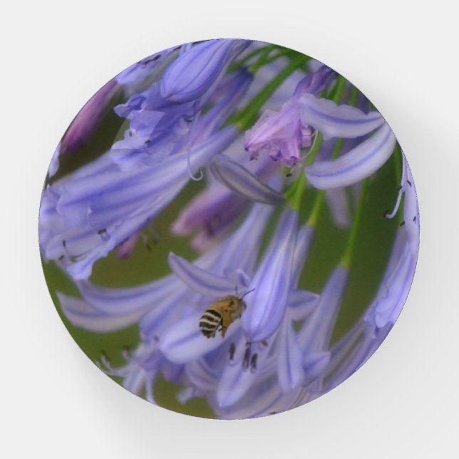 Honeybee and Purple Lily Flowers Glass Paperweight (Front)