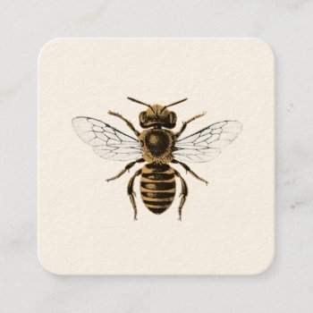 Honeybee Apiary Square Business Card by Charmalot at Zazzle