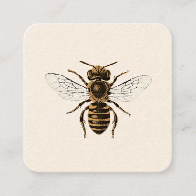 Honeybee Apiary Square Business Card (Front)