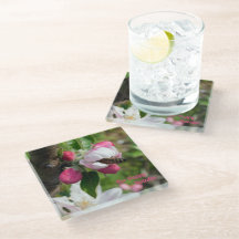 Honeybee & Apple Blossom | Fine Art Glass Coasters