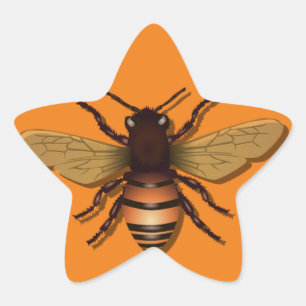 honeybee-bee-insect-fly-honey star sticker