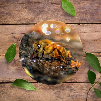 HoneyBee Golden Glass
