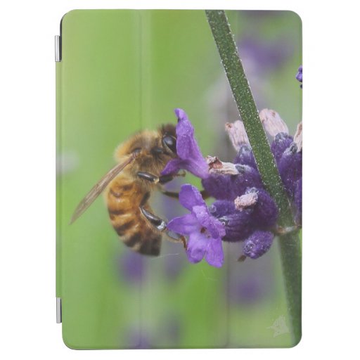 Honeybee Harvesting Lavender Blossom iPad Air Cover