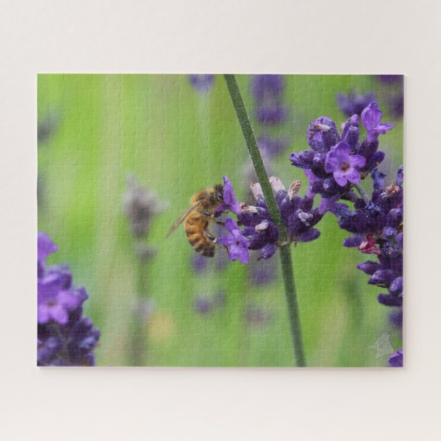 Honeybee Harvesting Lavender Blossom Jigsaw Puzzle (Horizontal)