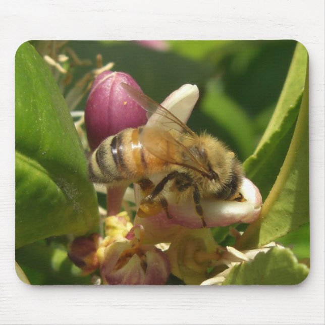 Honeybee Mousepad (Front)