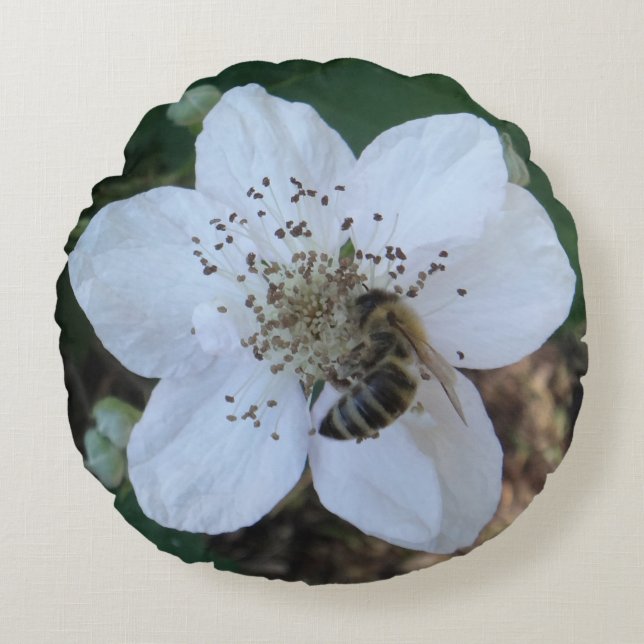 Honeybee on blackberry flower round pillow (Front)