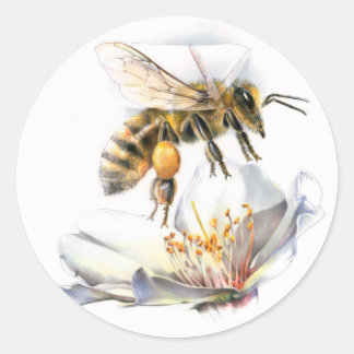 honeybee on flower classic round sticker