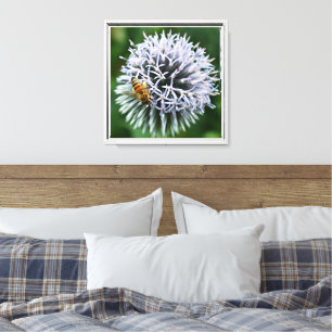 Honeybee on Globe Thistle Floral Canvas Print
