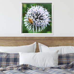 Honeybee on Globe Thistle Floral Canvas Print