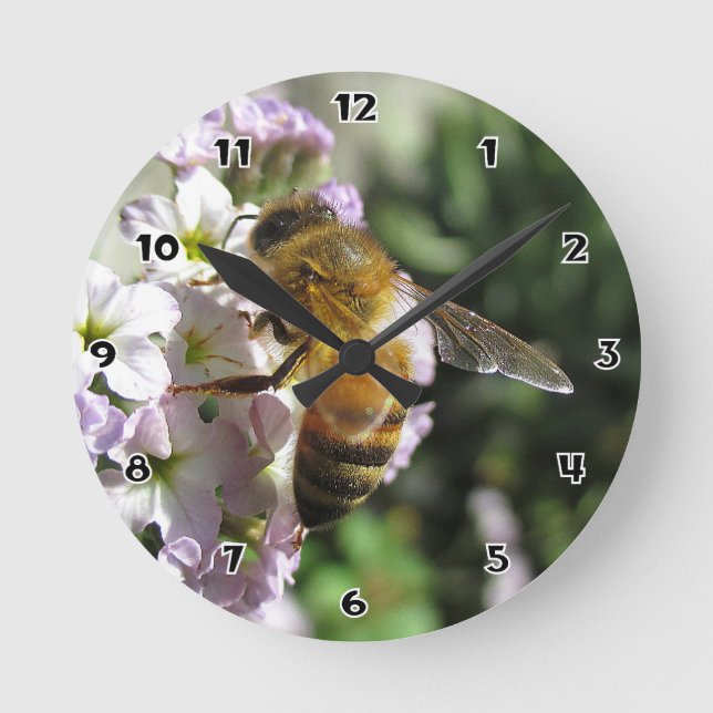Honeybee on Heliotrope Round Wall Clock (Front)