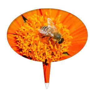 honeybee on orange cakepick