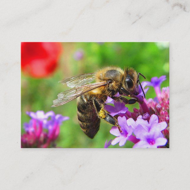 Honeybee on Verbena ATC Business Card (Front)