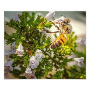 Honeybee on Wildflowers – Pollinator Nature Print