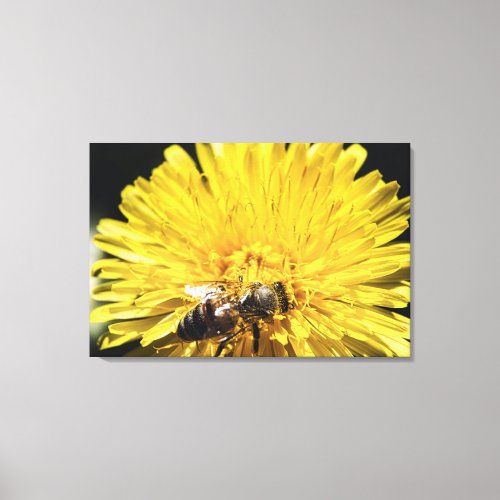 Honeybee on yellow dandelion macro photograph canvas print