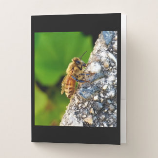 Honeybee Pocket Folder