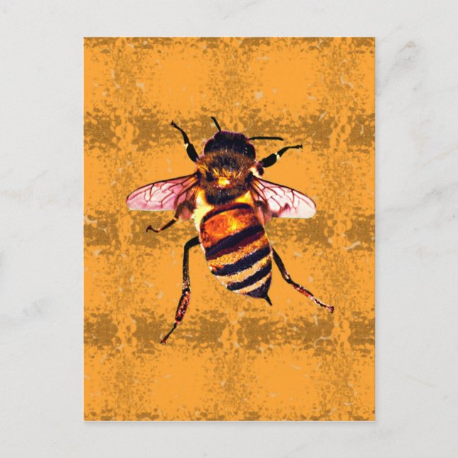 Honeybee Postcard (Front)