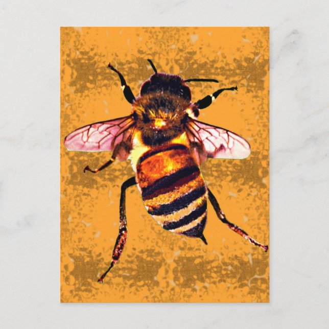Honeybee Postcard (Front)