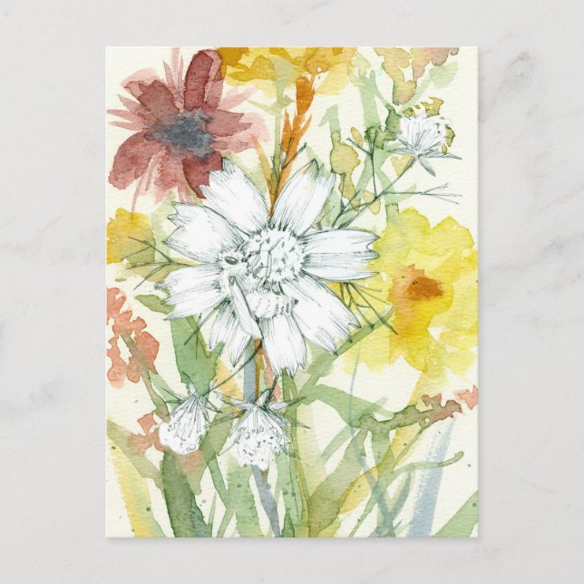 Honeybee White Flower Pollinator Garden Watercolor Postcard (Front)