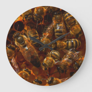 HONEYBEES 7 BELT BUCKLE LARGE CLOCK