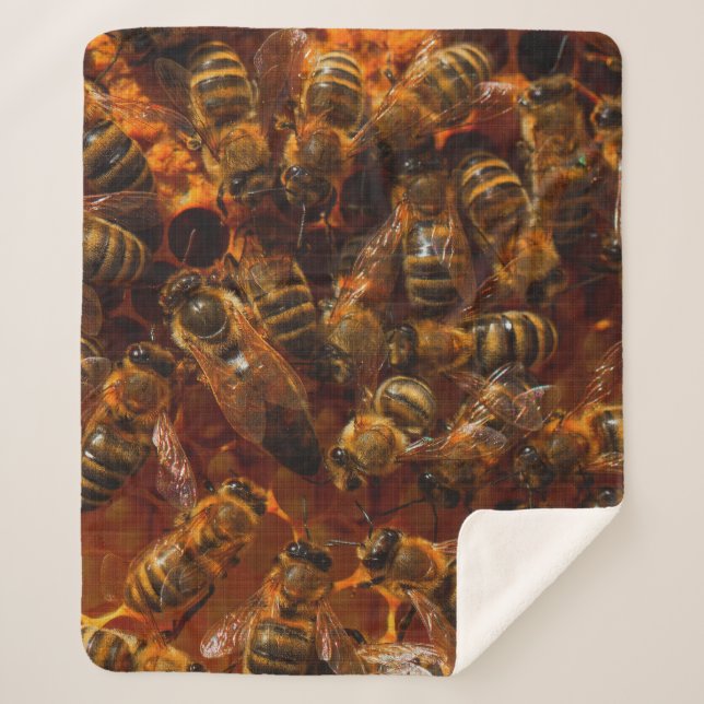 HONEYBEES 7   SHERPA BLANKET (Front)